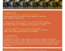 Con il corpo apprendo – 6 e 7 ottobre – Formazione sullo sviluppo del movimento autonomo secondo le ricerche della pediatra E. Pikler